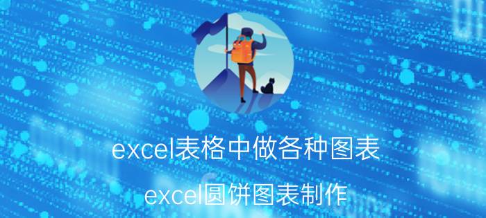 excel表格中做各种图表 excel圆饼图表制作？